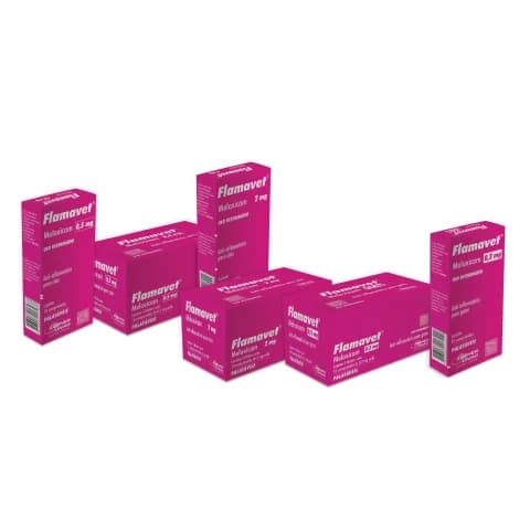 Flamavet Cães 0,5mg Display 50 Comprimidos