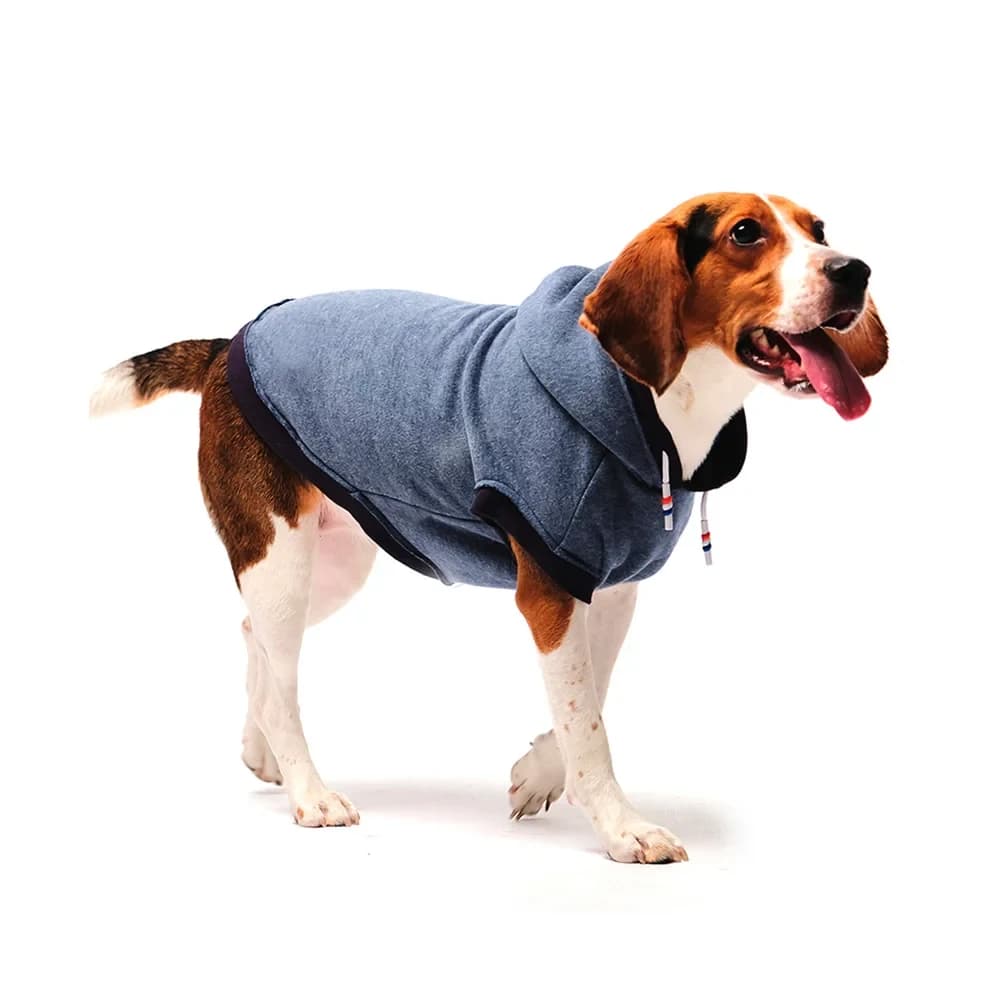 Roupa de Soft Agasalho com Capuz PP 30 cm
