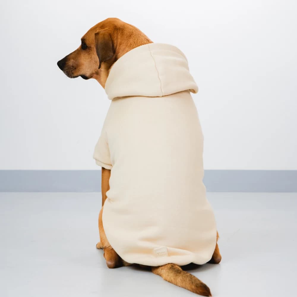 Roupa Soft Agasalho com Capuz Tamanho GG 57cm