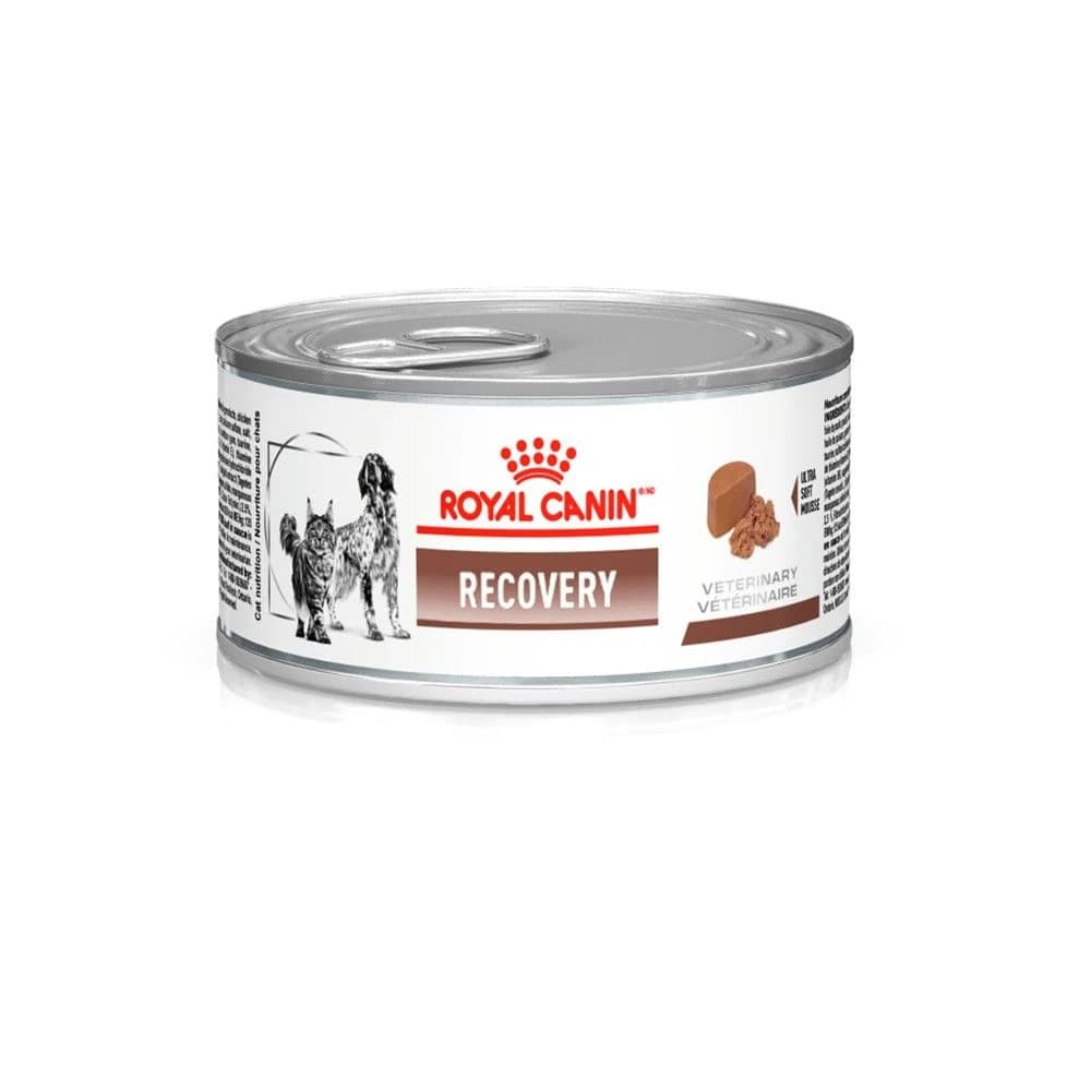 Royal Canin Veterinary Recovery Canine Feline Mousse 195g